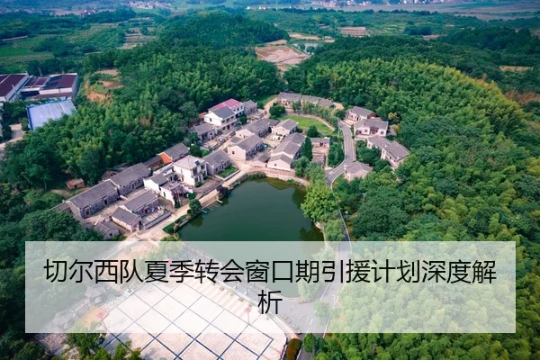 切尔西队夏季转会窗口期引援计划深度解析